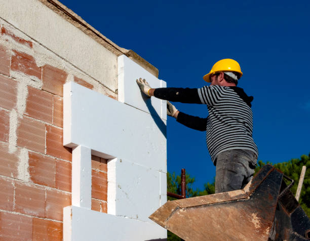 Best Wall Insulation Contractor  in Lake Wynonah, PA