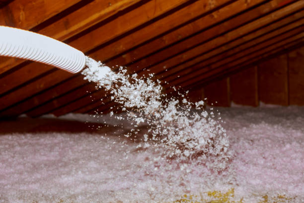 Best Spray Foam Insulation  in Lake Wynonah, PA