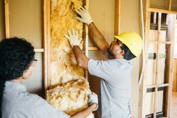 Best Local Insulation Services  in Lake Wynonah, PA