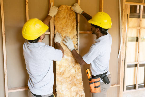 Best Energy-efficient Insulation  in Lake Wynonah, PA