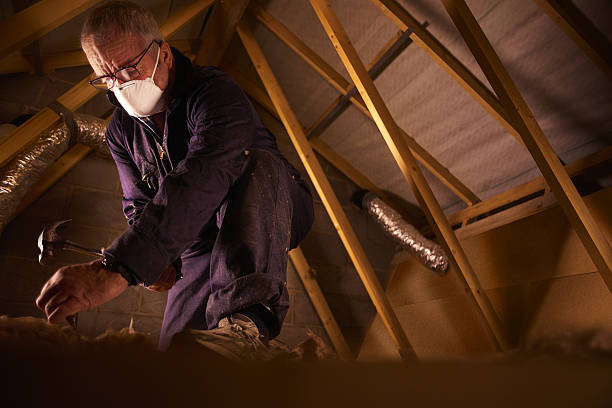 Best Professional Insulation Contractor  in Lake Wynonah, PA