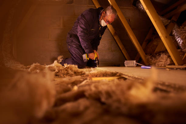 Best Insulation for New Construction  in Lake Wynonah, PA